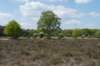 plankenwarmbuis_010_small.jpg