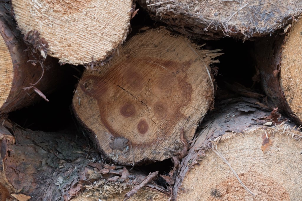 plankenwarmbuis_011.jpg