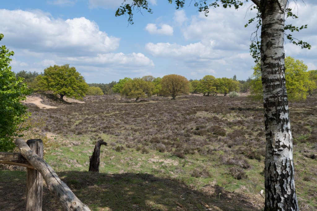 plankenwarmbuis_014.jpg