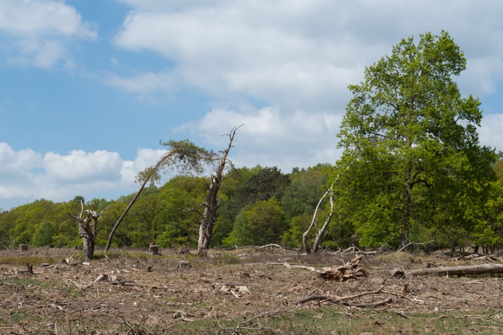 plankenwarmbuis_018.jpg