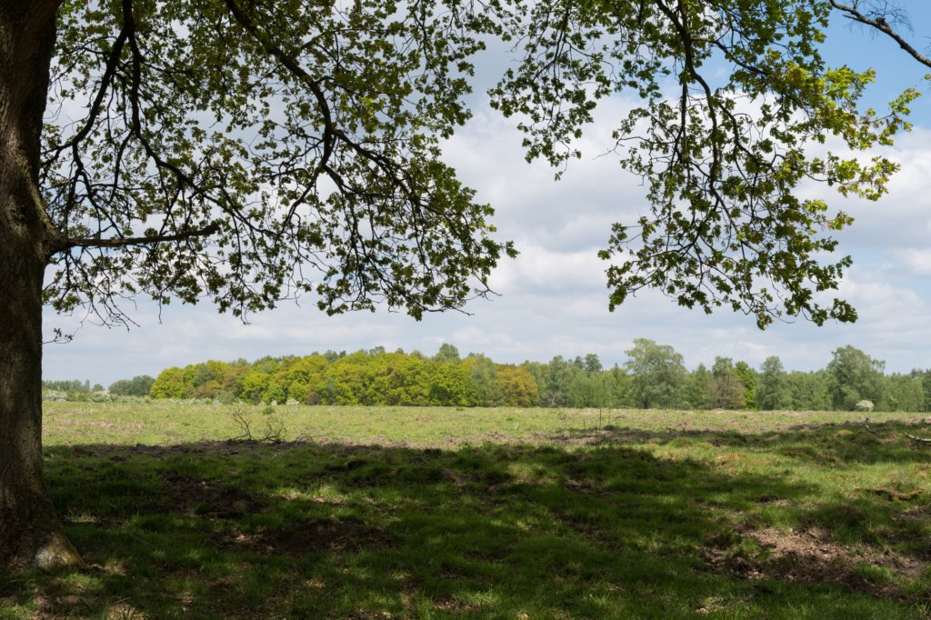 plankenwarmbuis_019.jpg