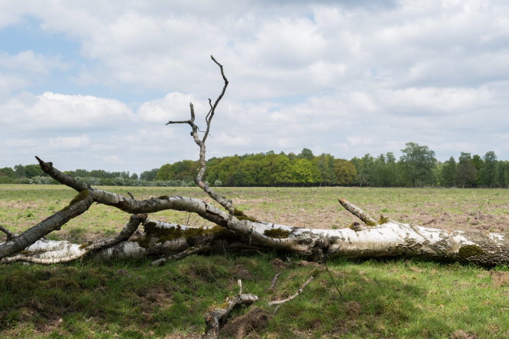 plankenwarmbuis_021.jpg