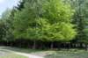 plankenwarmbuis_022_small.jpg