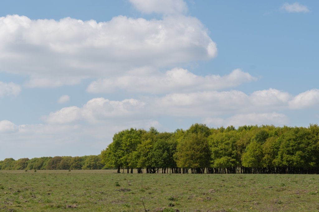 plankenwarmbuis_024.jpg