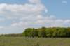 plankenwarmbuis_024_small.jpg