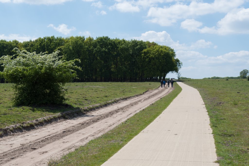 plankenwarmbuis_025.jpg
