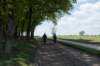 plankenwarmbuis_027_small.jpg