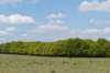 plankenwarmbuis_030_small.jpg