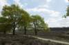 plankenwarmbuis_033_small.jpg