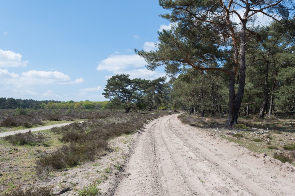 plankenwarmbuis_034.jpg