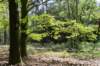 plankenwarmbuis_035_small.jpg