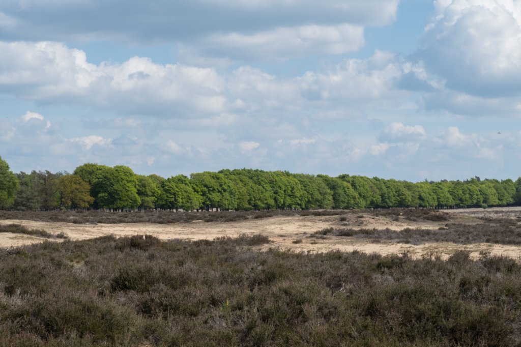 plankenwarmbuis_036.jpg
