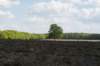 plankenwarmbuis_038_small.jpg