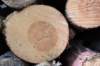 plankenwarmbuis_046_small.jpg
