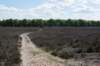 plankenwarmbuis_054_small.jpg