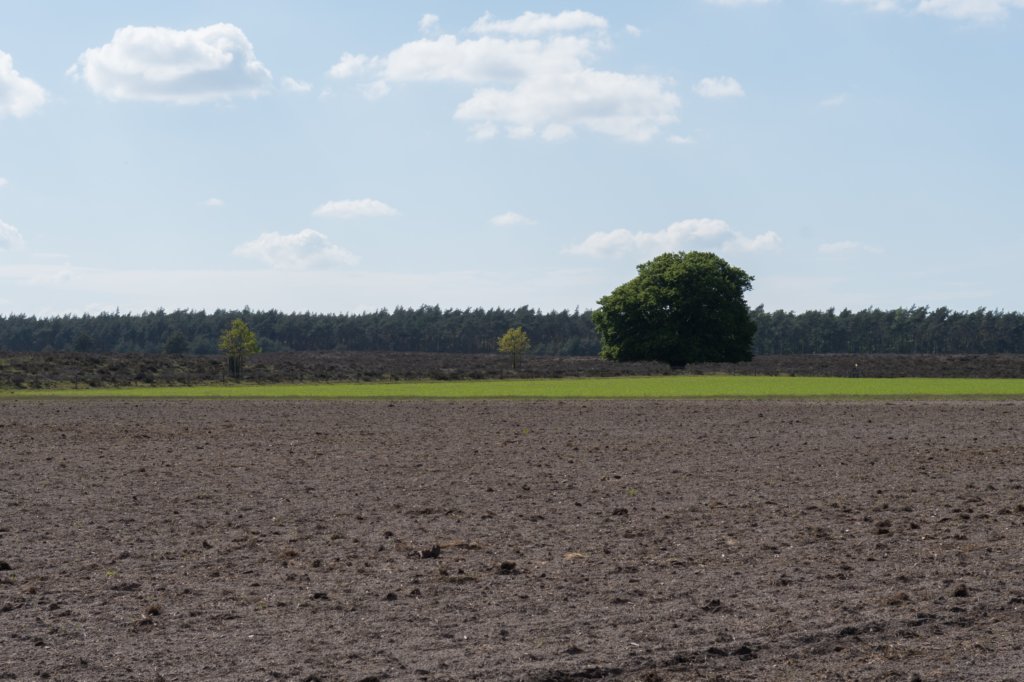 plankenwarmbuis_060.jpg