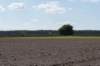 plankenwarmbuis_060_small.jpg