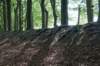 plankenwarmbuis_063_small.jpg