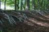 plankenwarmbuis_065_small.jpg