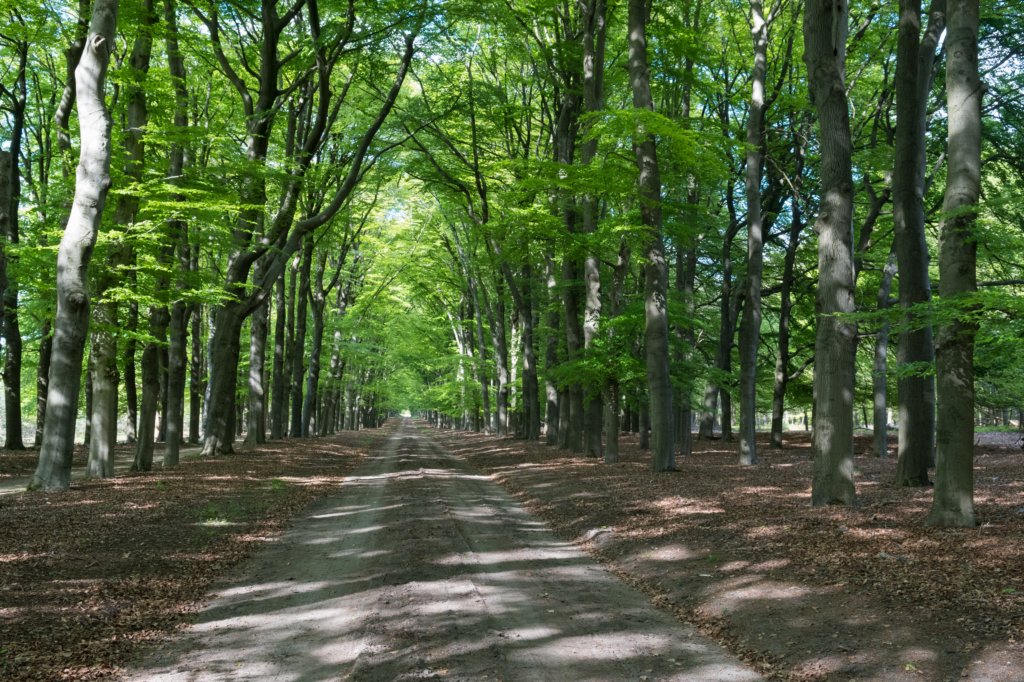 plankenwarmbuis_068.jpg