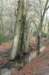 posbank_002_small.jpg