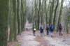posbank_003_small.jpg