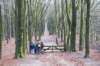 posbank_004_small.jpg