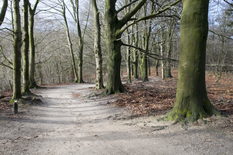 posbank_005.jpg