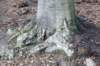 posbank_006_small.jpg