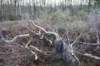 posbank_007_small.jpg