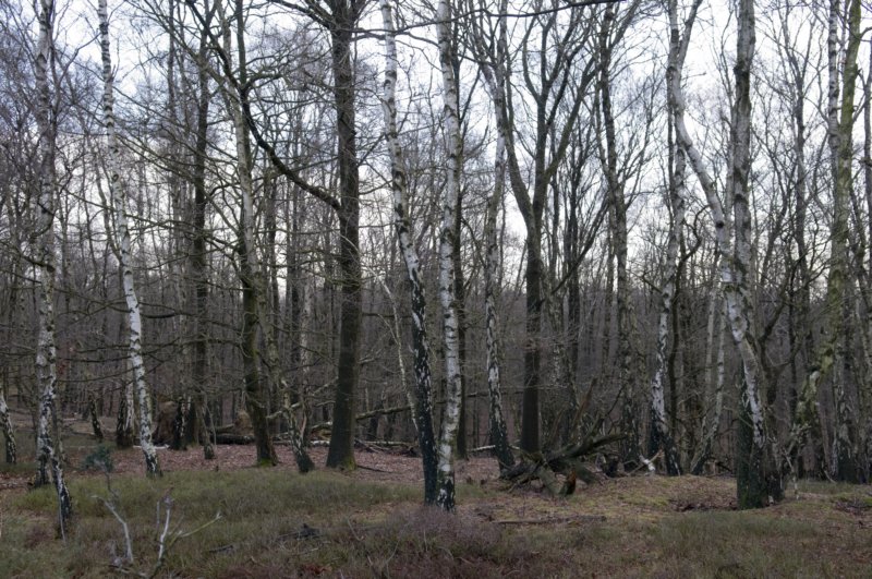 posbank_008.jpg