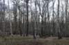posbank_008_small.jpg
