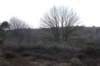 posbank_009_small.jpg
