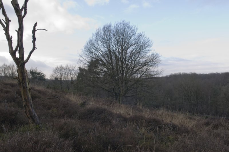 posbank_010.jpg