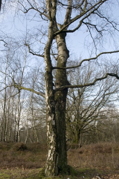posbank_012.jpg