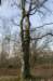 posbank_012_small.jpg
