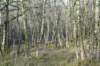 posbank_015_small.jpg