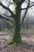 posbank_016_small.jpg