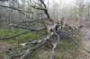 posbank_017_small.jpg