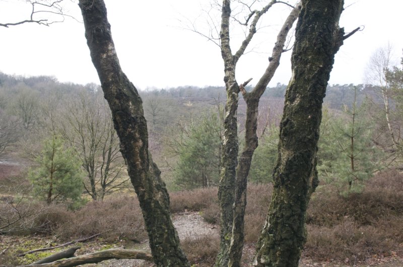 posbank_024.jpg