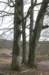 posbank_027_small.jpg