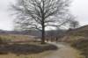 posbank_034_small.jpg