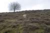 posbank_037_small.jpg