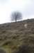 posbank_038_small.jpg