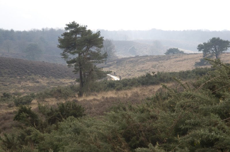 posbank_040.jpg