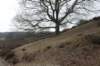 posbank_044_small.jpg