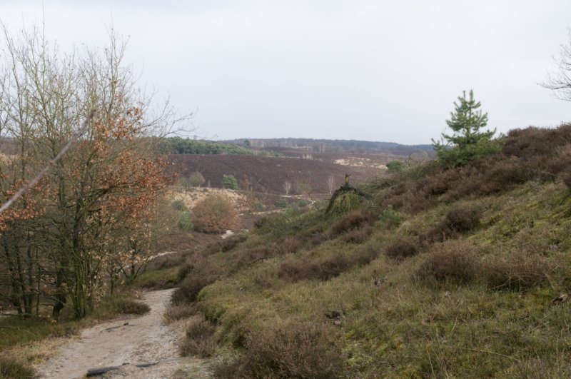 posbank_052.jpg