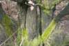 posbank_053_small.jpg