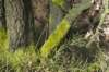 posbank_055_small.jpg