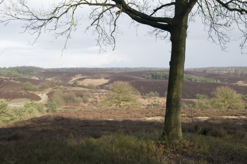 posbank_057.jpg